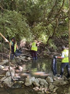 3 volunteers wade in the creek with trash bags.